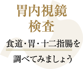 胃内視鏡検査で食道・胃・十二指腸を 調べてみましょう