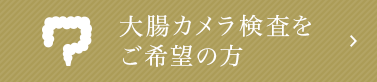 大腸カメラ検査をご希望の方